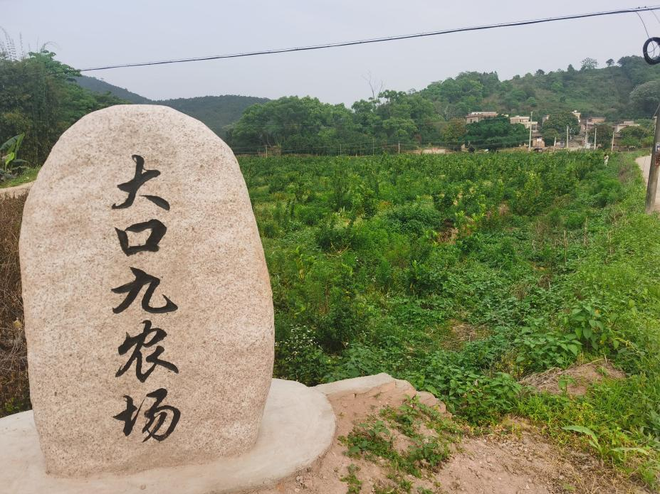 1629887209811772.png 圖片2.png